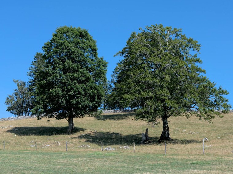 Associations en 39 Jura