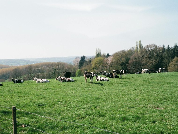 Associations en 94 Val-de-Marne