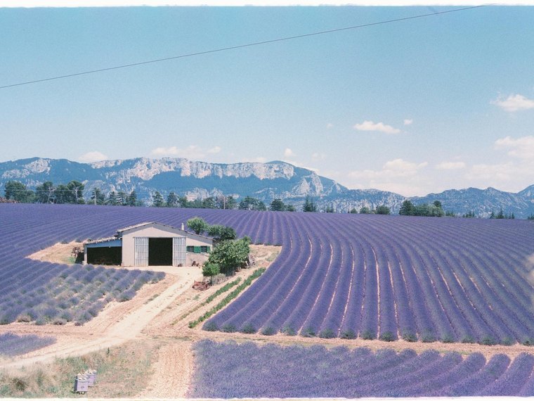 Associations en Provence-Alpes-Côte d'Azur