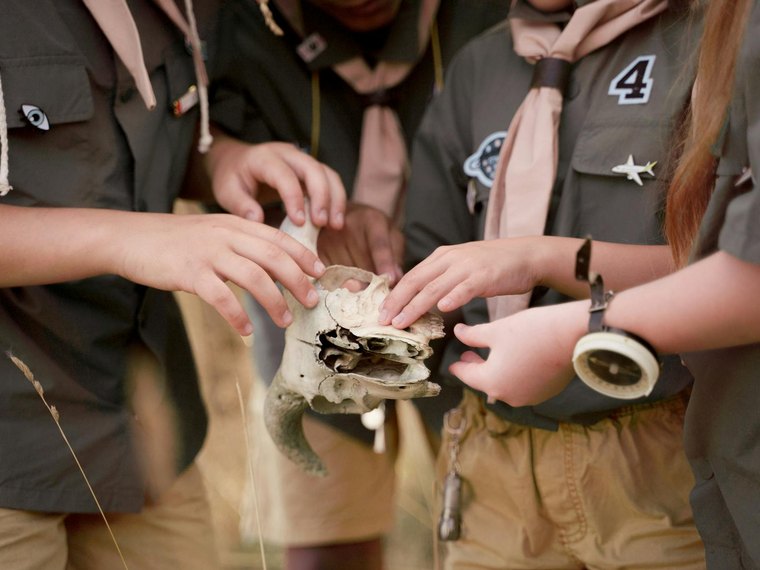 Associations Associations Socio-Éducatives, Scoutisme en France