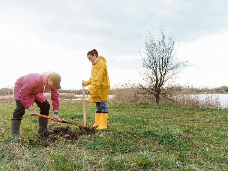 Associations Environnement, Cadre De Vie en France