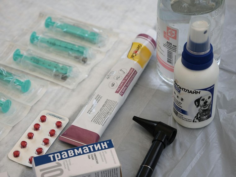 Associations Médecine Animale, Vétérinaire en France