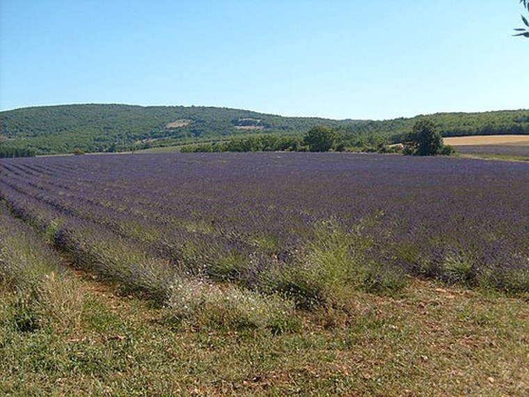 Annuaire des associations de Gigors - 04 Alpes-de-Haute-Provence