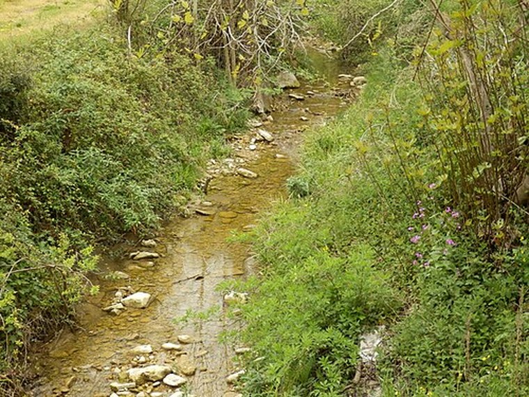 Annuaire des associations de Saint-Couat-du-Razès - 11 Aude