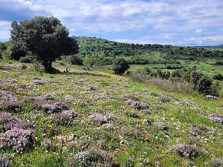 Annuaire des associations de Salza - 11 Aude