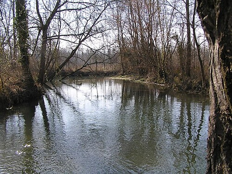 Annuaire des associations de Le Seure - 17 Charente-Maritime