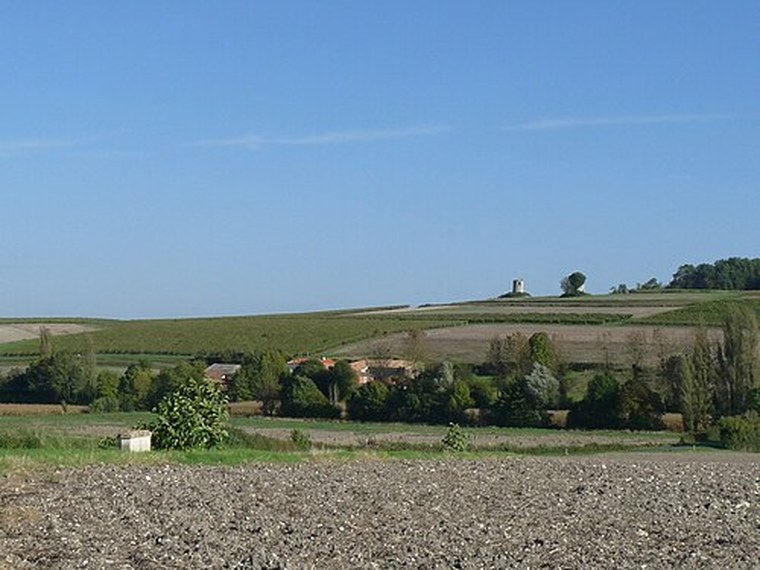 Annuaire des associations de Vibrac - 17 Charente-Maritime