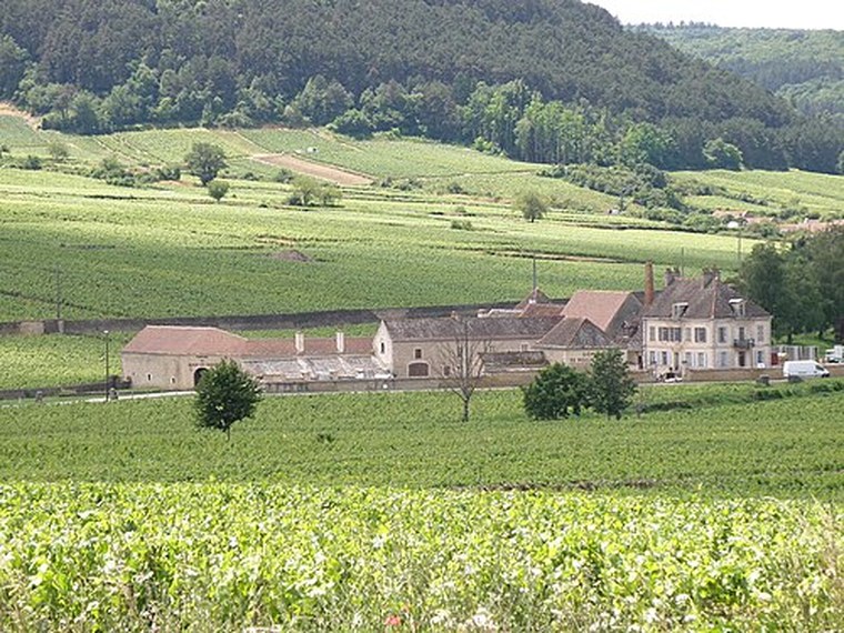 Annuaire des associations de Auxey-Duresses - 21 Côte-d'Or