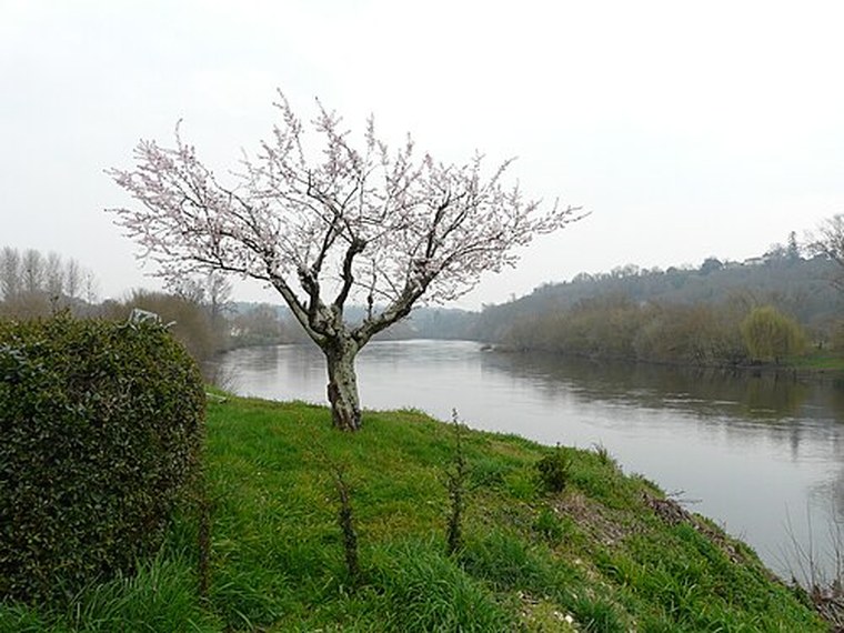 Annuaire des associations de Saint-Seurin-de-Prats - 24 Dordogne