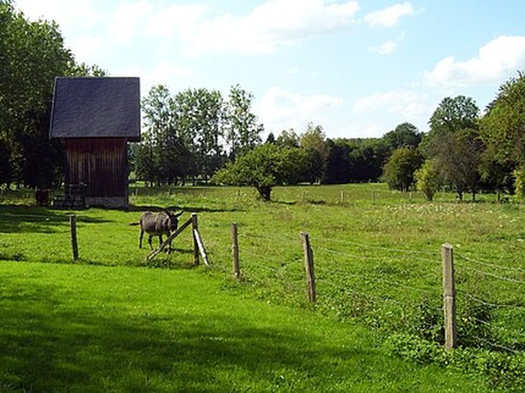 Annuaire des associations de Livet-sur-Authou - 27 Eure
