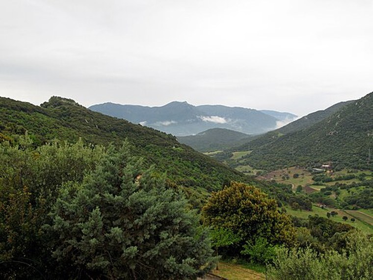 Annuaire des associations de Arbellara - 2A Corse-du-Sud