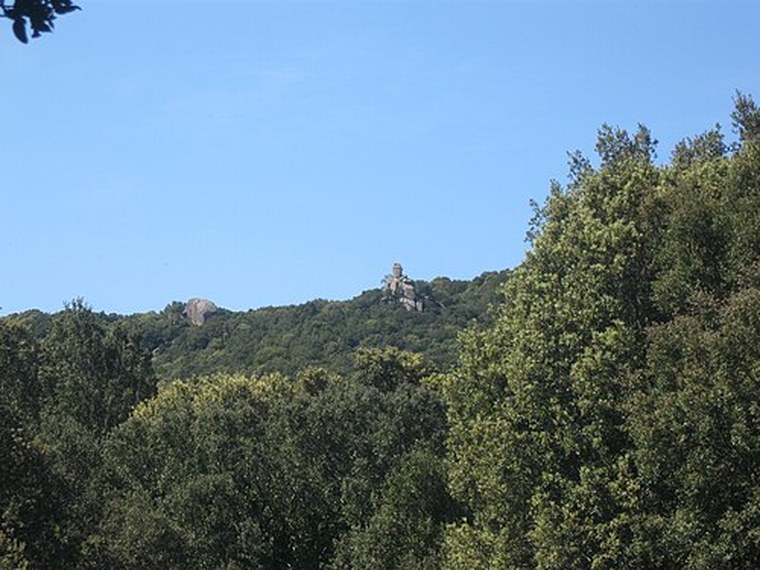 Annuaire des associations de Foce - 2A Corse-du-Sud