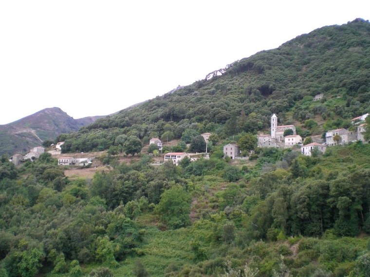 Annuaire des associations de Loreto-di-Tallano - 2A Corse-du-Sud