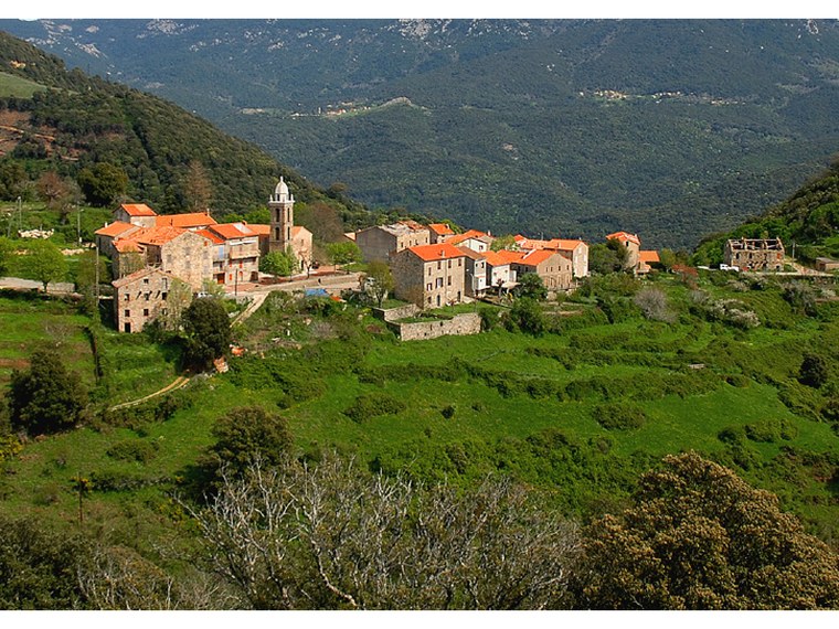 Annuaire des associations de Mela - 2A Corse-du-Sud