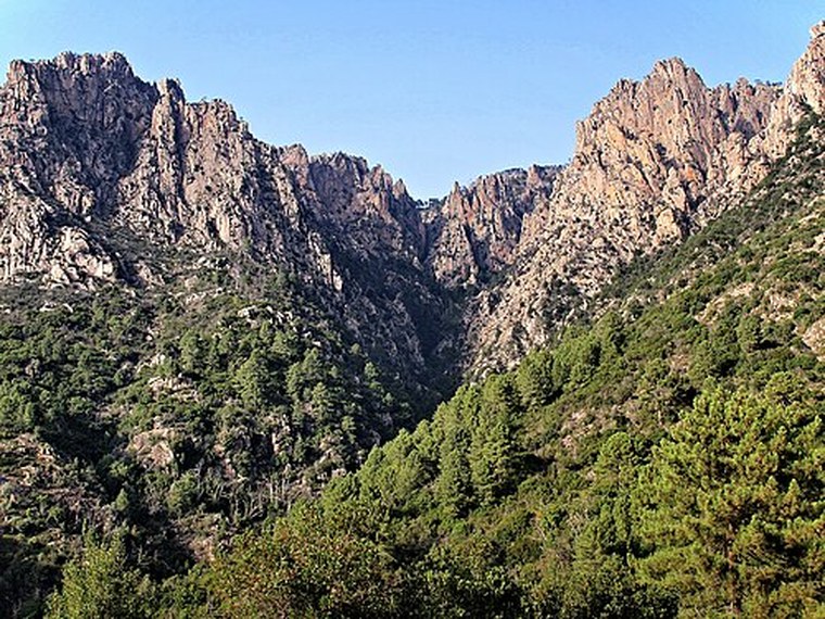 Annuaire des associations de Murzo - 2A Corse-du-Sud