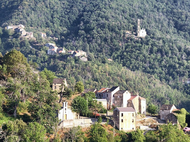 Annuaire des associations de Alzi - 2B Haute-Corse