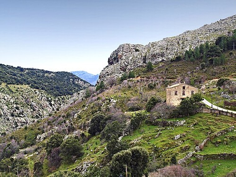 Annuaire des associations de Mausoléo - 2B Haute-Corse