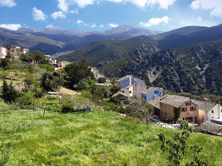 Annuaire des associations de Olmeta-di-Capocorso - 2B Haute-Corse