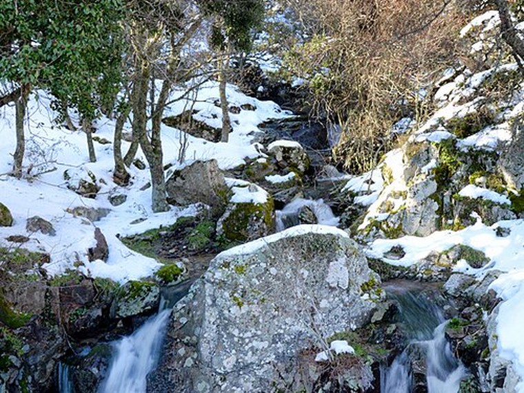 Annuaire des associations de Olmi-Cappella - 2B Haute-Corse