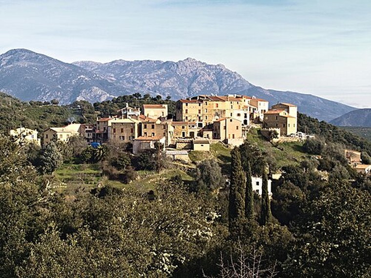 Annuaire des associations de Piedigriggio - 2B Haute-Corse