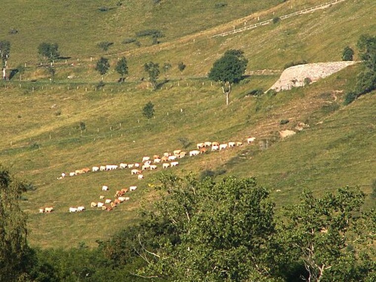 Annuaire des associations de Portet-de-Luchon - 31 Haute-Garonne