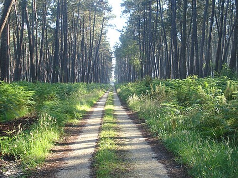 Annuaire des associations de Retjons - 40 Landes
