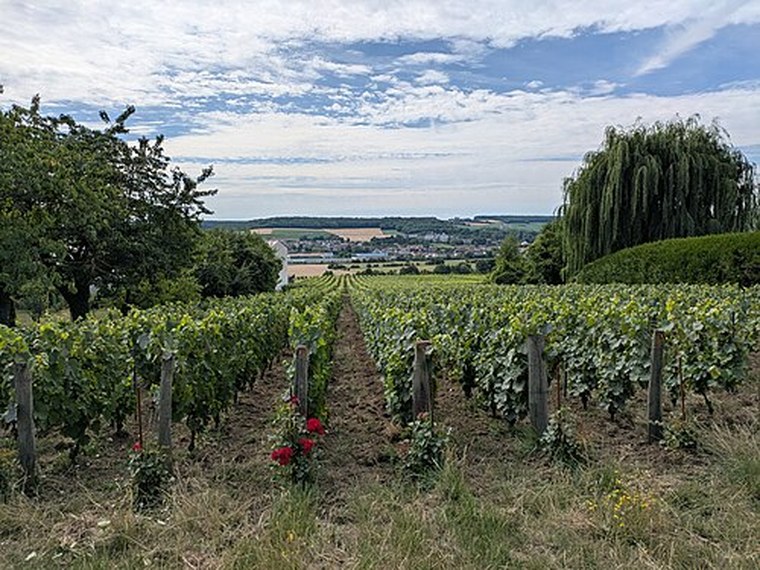 Annuaire des associations de Vincelles - 51 Marne