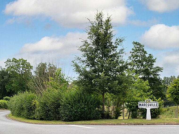 Annuaire des associations de Maresville - 62 Pas-de-Calais