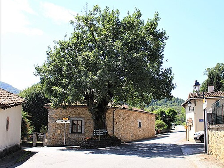 Annuaire des associations de Lombrès - 65 Hautes-Pyrénées