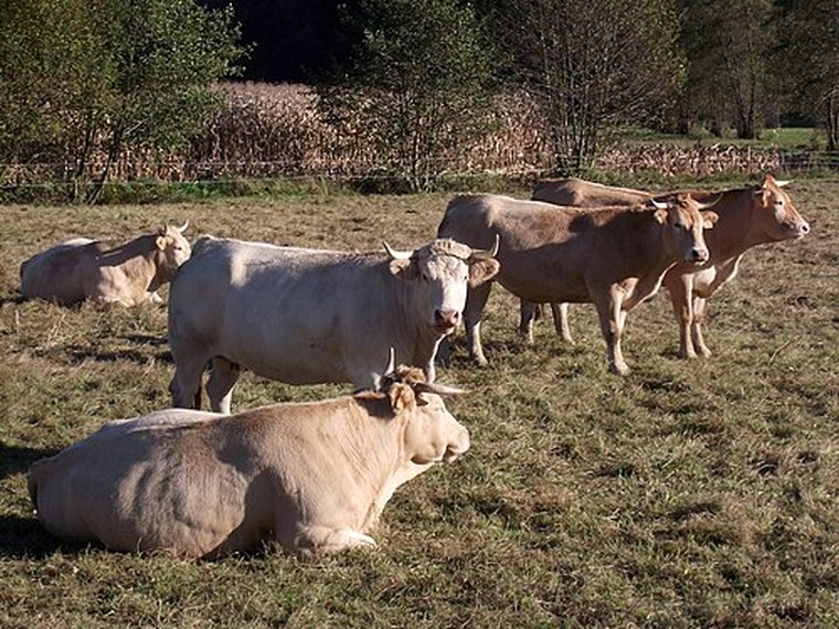Annuaire des associations de Paréac - 65 Hautes-Pyrénées