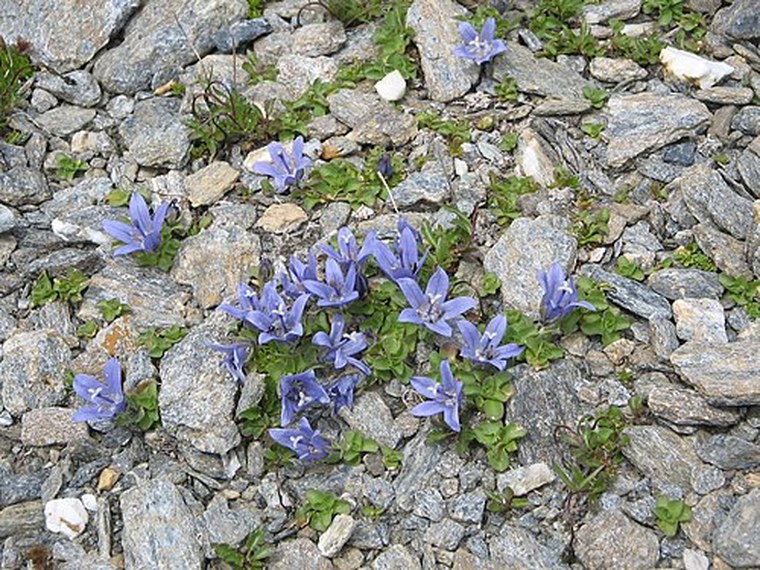 Annuaire des associations de Sollières-Sardières - 73 Savoie