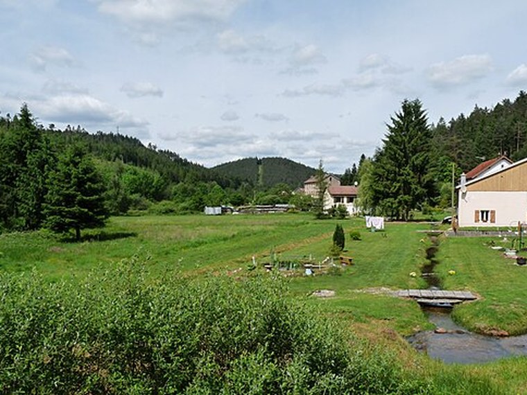 Annuaire des associations de Bois-de-Champ - 88 Vosges