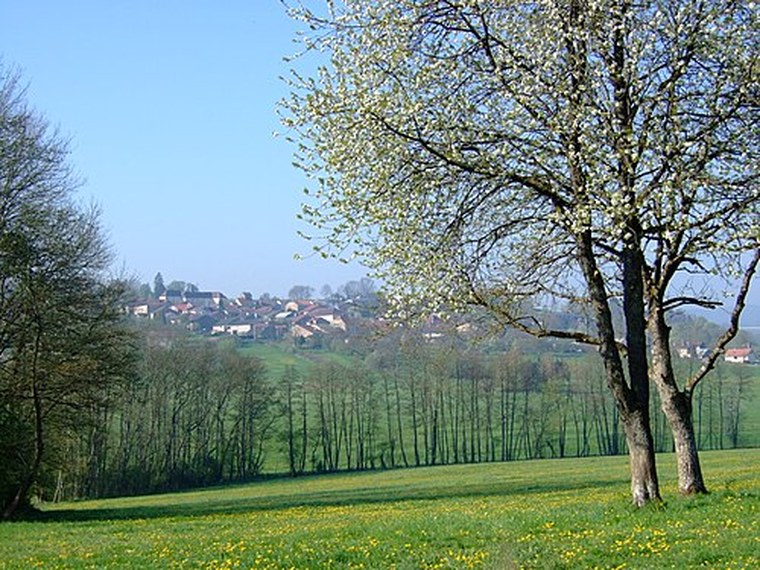 Annuaire des associations de Godoncourt - 88 Vosges
