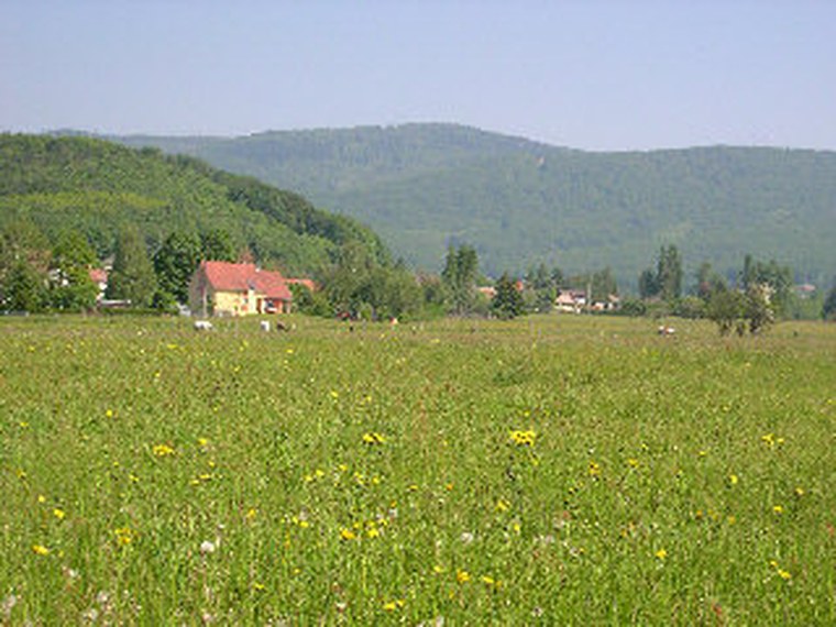 Annuaire des associations de Romagny-sous-Rougemont - 90 Territoire de Belfort